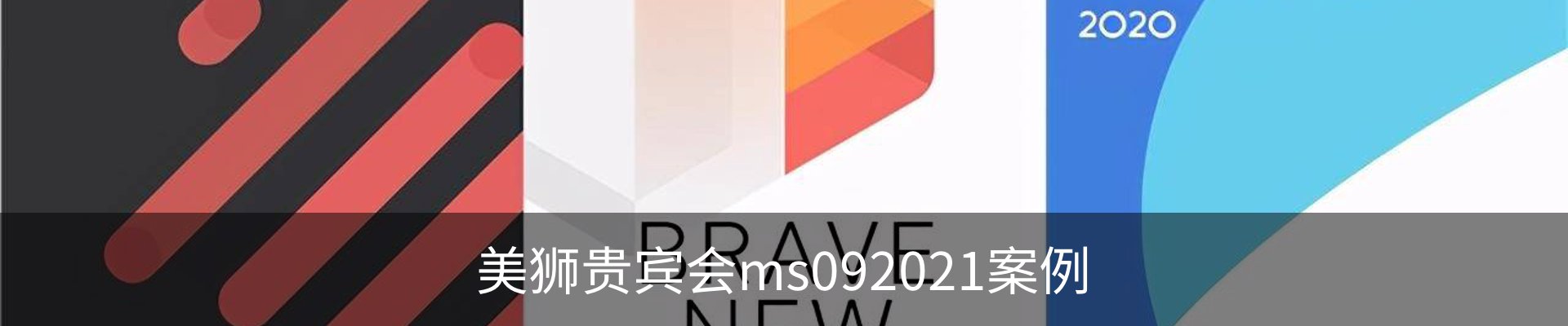 美狮贵宾会ms092021案例