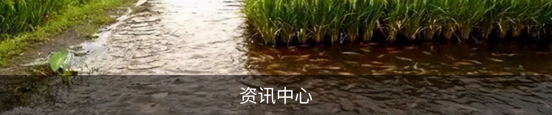 资讯中心